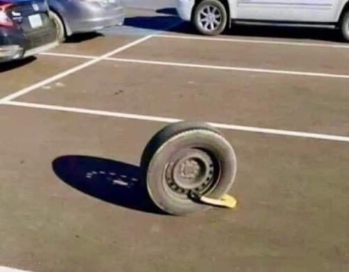 1000005257.jpg