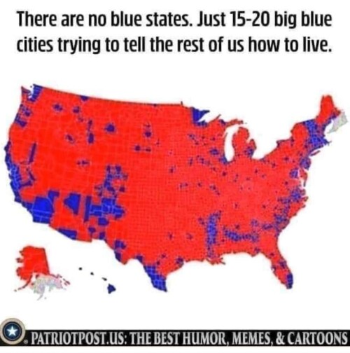 1000005337.jpg