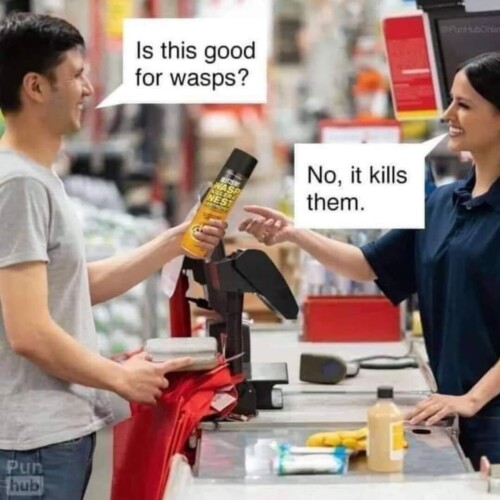 goodforwasps.jpg